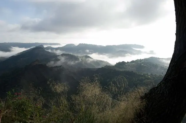 Traditional Apart Daire, 3 Yatak Odası, Bahçe Manzaralı, Zemin Kat
