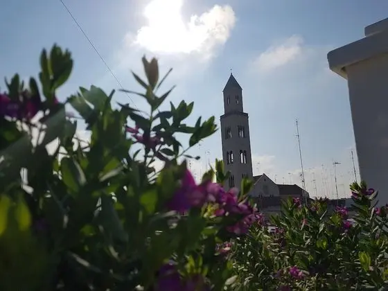 Traditional Apart Daire, 1 Yatak Odası (1)