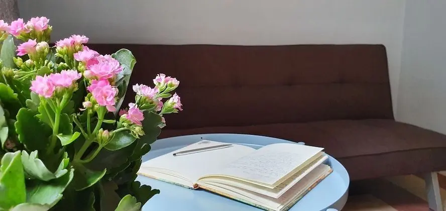 Junior Stüdyo Süit, Balkon, Avlu Manzaralı