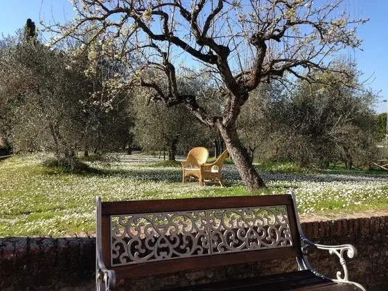 Classic Tek Büyük Yataklı Oda, Bahçe Manzaralı