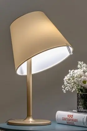 Superior Tek Büyük veya İki Ayrı Yataklı Oda