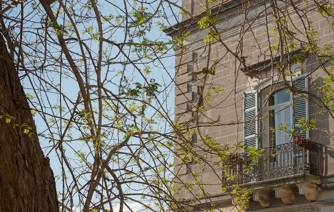 Superior Tek Büyük veya İki Ayrı Yataklı Oda, Bahçe Manzaralı