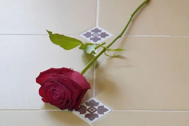 Deluxe Tek Büyük Yataklı Oda, Şehir Manzaralı