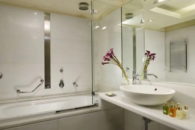 Deluxe Tek Büyük veya İki Ayrı Yataklı Oda