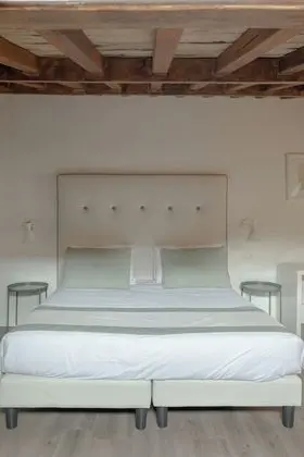 Romantic Tek Büyük Yataklı Oda (mansard)