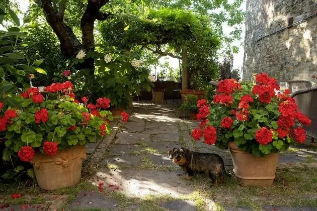 Royal Tek Büyük Yataklı Oda, Sıcak Su Havuzu, Bahçe Manzaralı