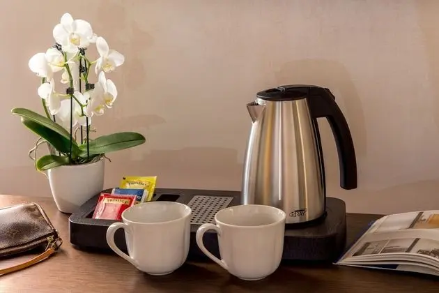 Superior Tek Büyük Yataklı Oda