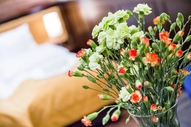 Economy Üç Kişilik Oda, 1 Yatak Odası, Şehir Manzaralı