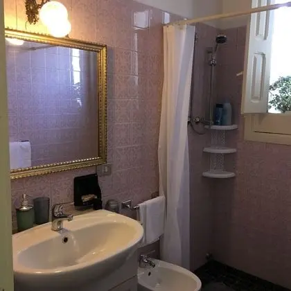 Süit