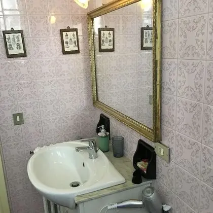 Süit