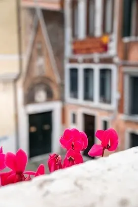 Classic Tek Büyük Yataklı Oda, Banyolu/Duşlu