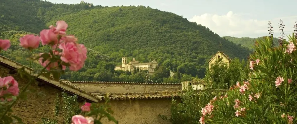 Deluxe Tek Büyük veya İki Ayrı Yataklı Oda, Balkon (The Green Room)