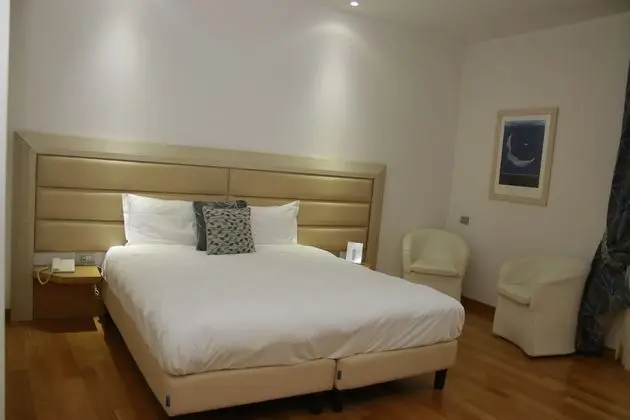 Standard Büyük Yataklı Tek Kişilik Oda, 1 Yatak Odası, Sigara İçilmez, Şehir Manzaralı