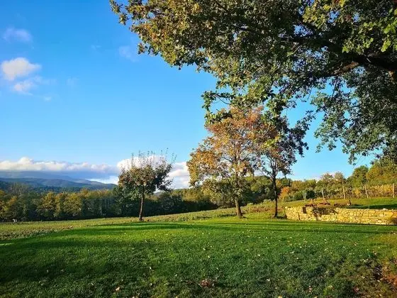 Ev, 4 Yatak Odası, Şömine