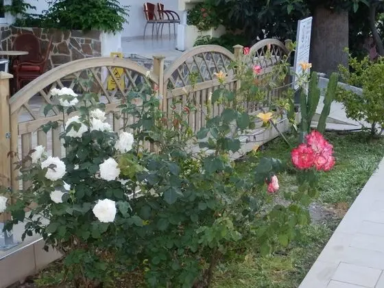 Apart Daire, Havuz Manzaralı