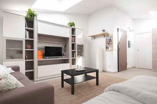 Basic Apart Daire, 1 Yatak Odası