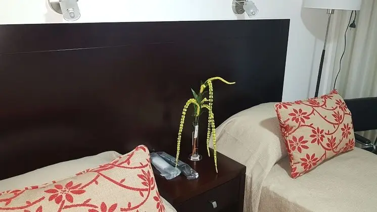 Executive Tek Büyük Yataklı Oda, Şehir Manzaralı
