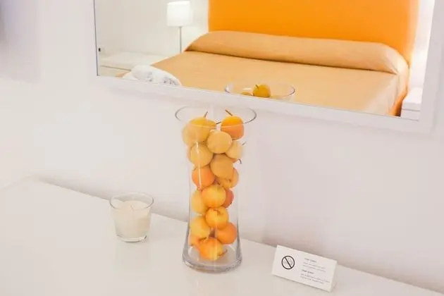 Tek Büyük Yataklı Oda, Özel Banyo (external 1)