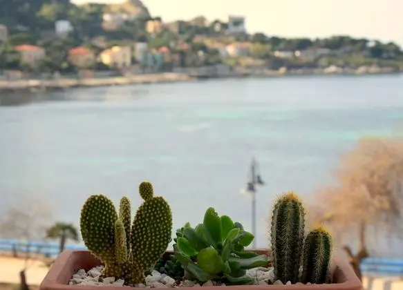 Apart Daire, 2 Yatak Odası, Mutfak, Deniz Manzaralı