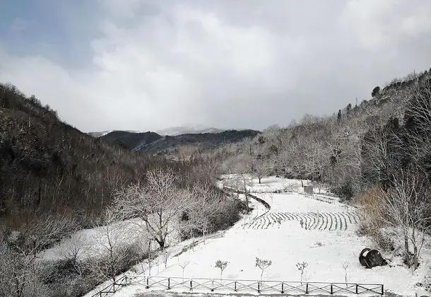 Basic Tek Kişilik Oda, Dağ Manzaralı