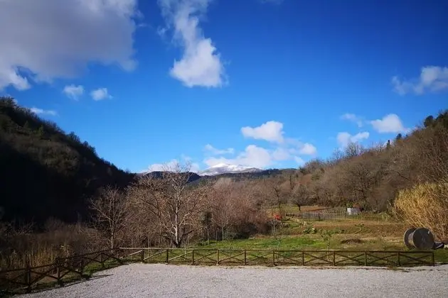 Basic Tek Kişilik Oda, Dağ Manzaralı