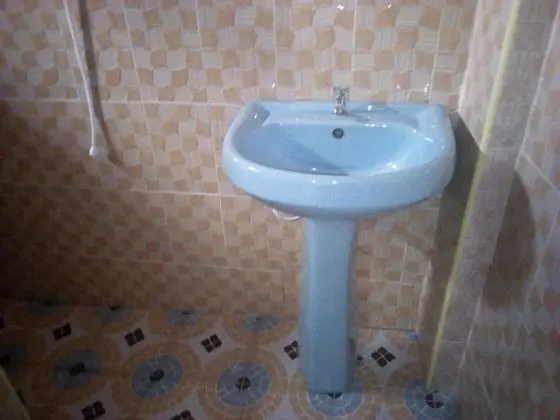 Standard Oda