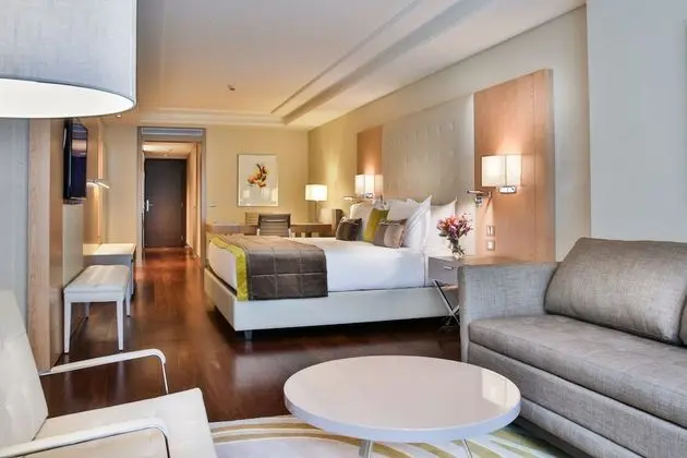 Executive Oda, 1 En Büyük (King) Boy Yatak ve Çekyat, Balkon