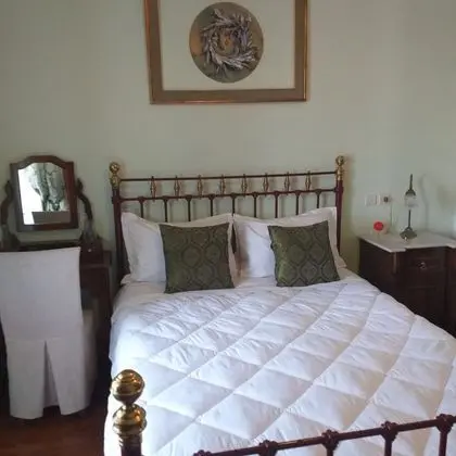 Basic Oda, 1 Çift Kişilik Yatak, Özel Banyo, Dağ Manzaralı