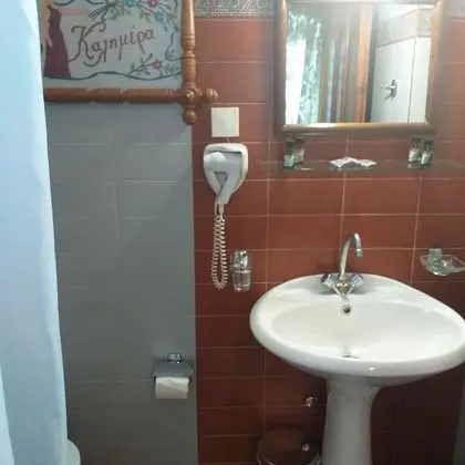 Basic Oda, 1 Çift Kişilik Yatak, Özel Banyo, Dağ Manzaralı