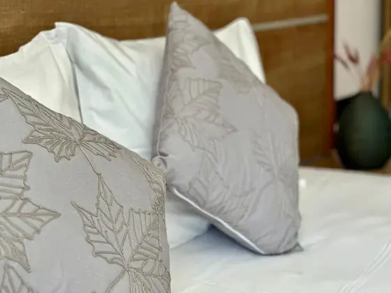Deluxe 4 Kişilik Oda