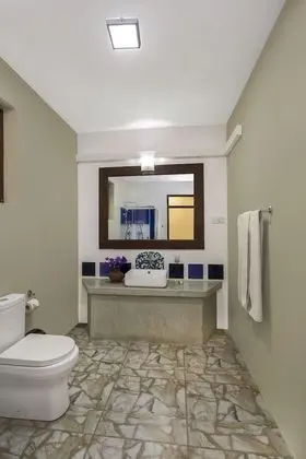 Deluxe Tek Büyük Yataklı Oda, 1 Çift Kişilik Yatak, Balkon, Bahçeli