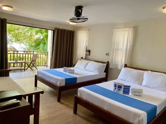 Oda (Casa Sofia Royale)