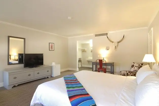 Premium Oda, 1 En Büyük (King) Boy Yatak, Sigara İçilmez, Balkon