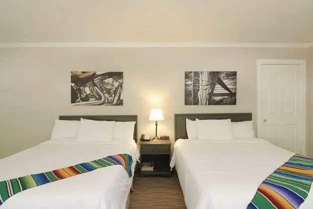 Premium Oda, 2 Büyük (Queen) Boy Yatak, Sigara İçilmez, Buzdolabı