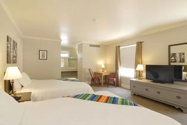 Premium Oda, 2 Büyük (Queen) Boy Yatak, Sigara İçilmez, Buzdolabı