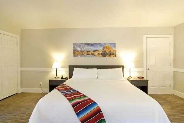 Standard Oda, 1 En Büyük (King) Boy Yatak, Sigara İçilmez, Buzdolabı