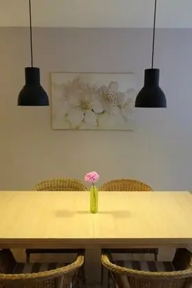 1 Bedroom Suite