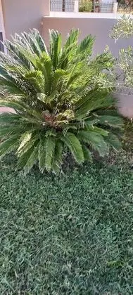 Apart Daire, 2 Yatak Odası, Engellilere Uygun, Balkon