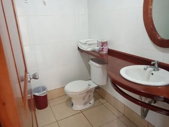 Superior Tek Büyük Yataklı Oda