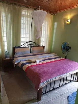 Standard Oda, Sigara İçilmez, Bahçe Manzaralı