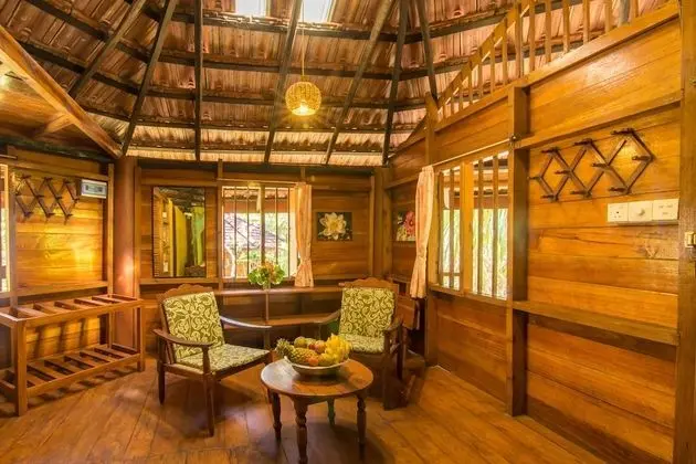 Double Non AC Wooden Cabana