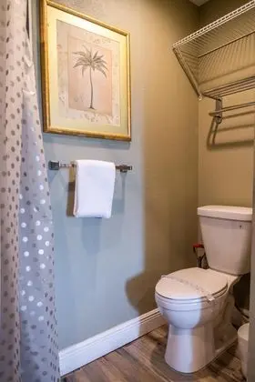 Stüdyo (Double bed studio with community pool)