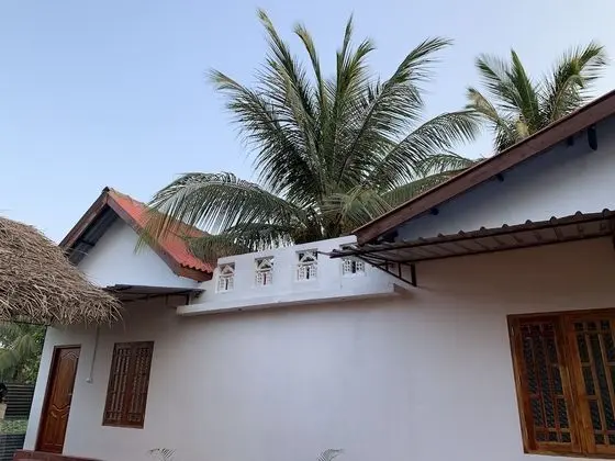 Deluxe Tek Büyük Yataklı Oda, Bahçe Manzaralı, Plaj Kenarı