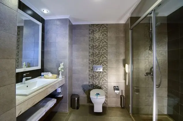 Standard Tek Büyük veya İki Ayrı Yataklı Oda (Single Use)