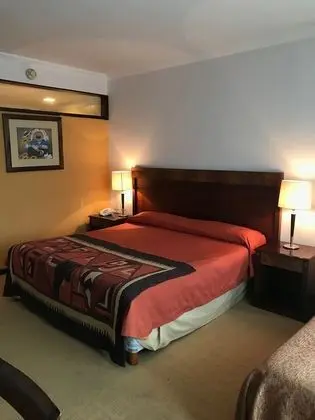 Premium Tek Büyük Yataklı Oda, Özel Banyo