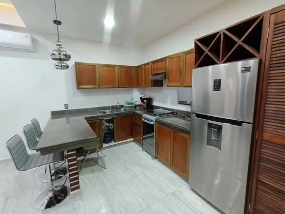 PALMAS DE CHAHUE 4 (39 MTS2)