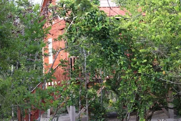 Traditional Kulübe, 1 Yatak Odası, Lagün Manzaralı, Denize Sıfır