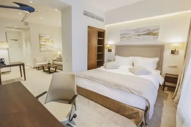 Superior Tek Büyük Yataklı Oda