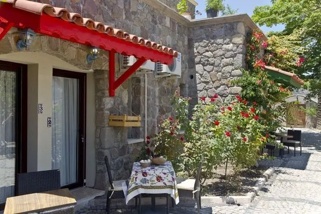 Standard Villa