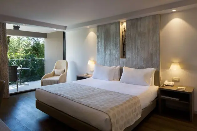 1 Çift ​​kişilik Yatak Deluxe Park View